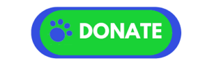 donation button edit